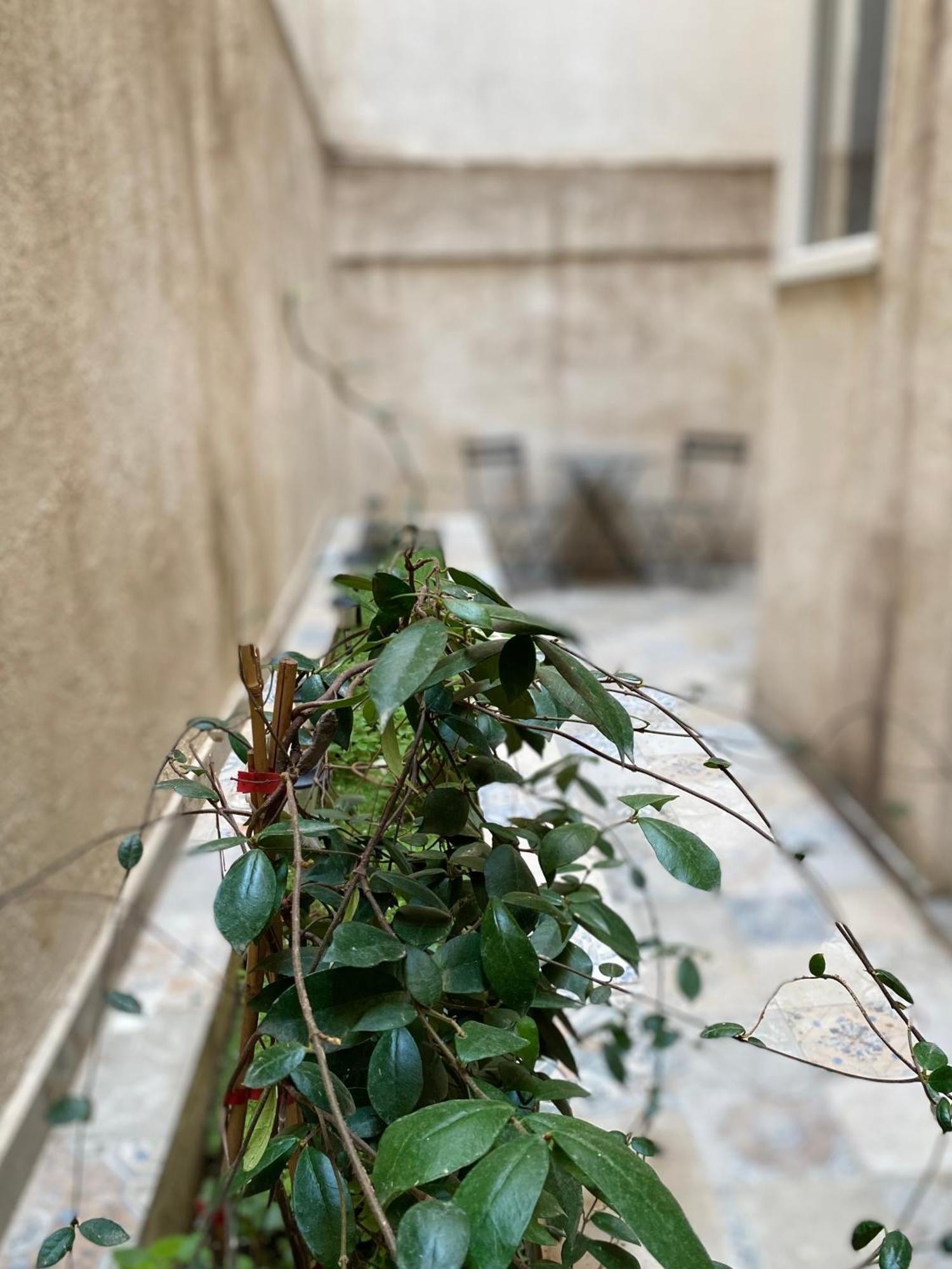 A Place 4 U Below Acropolis Atenas Exterior foto